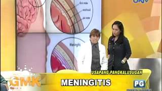 What is Meningitis [upl. by Etnoel]