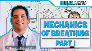 Respiratory  Mechanics of Breathing Pressure Changes  Part 1 [upl. by Aleacem]