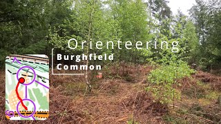 Orienteering  Burghfield Common orienteering [upl. by Ajnat]