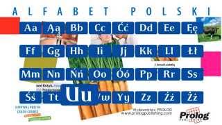 Alfabet polski  Polish Alphabet pronunciation  PROLOG Publishing [upl. by Eeliak]