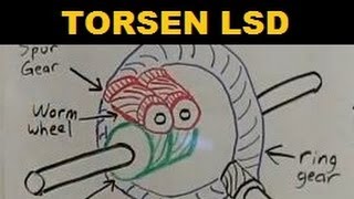 Torsen Limited Slip Differential  Explained [upl. by Htir166]