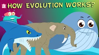 What Is Evolution  Compilation  The Dr Binocs Show  Non Stop Episodes  PEEKABOO KIDZ [upl. by Winslow]