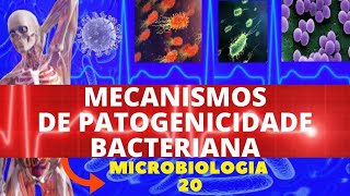 MECANISMOS DE PATOGENICIDADE BACTERIANA  MICROBIOLOGIA BACTÉRIAS PATOGÊNICAS [upl. by Zehcnas416]