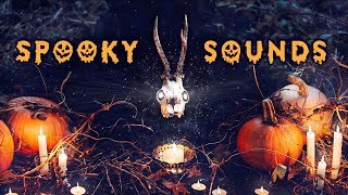 SPOOKY Halloween Ambience scary halloween background sounds for trick or treat reading party [upl. by Saberio]