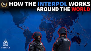 What Is The INTERPOL [upl. by Cirri]