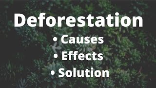 Deforestation  Causes  Effects and Solution  study [upl. by Augustine]