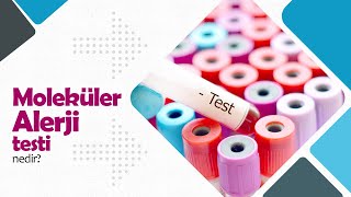 Moleküler Alerji Testi Nedir [upl. by Aigneis]